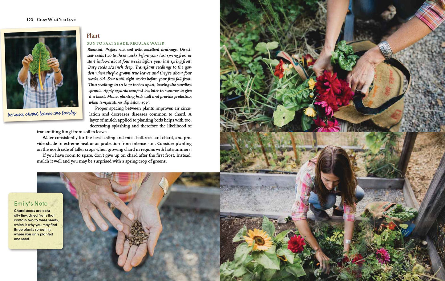 Grow What You Love: 12 Food Plant Families To Change Your Life