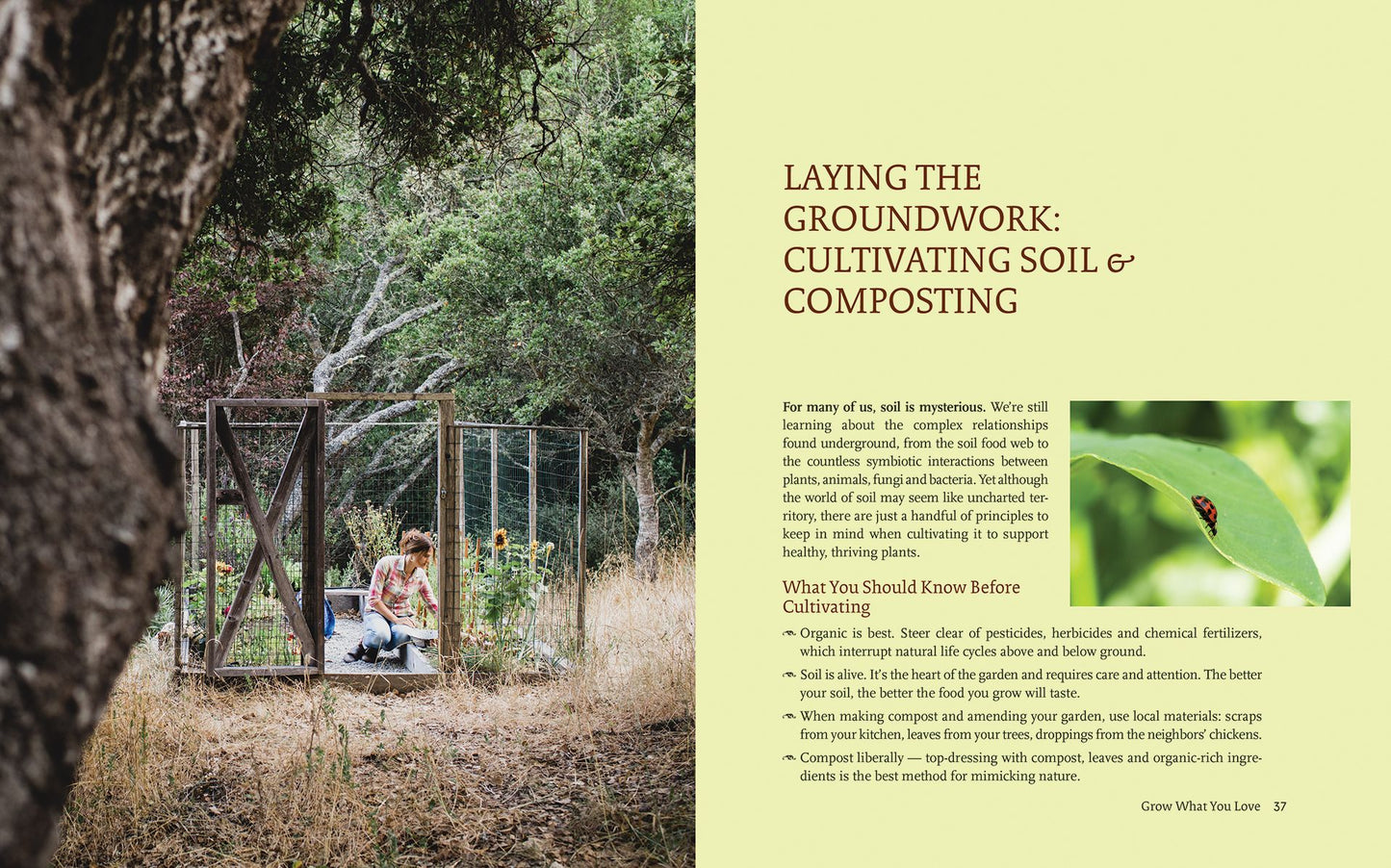 Grow What You Love: 12 Food Plant Families To Change Your Life
