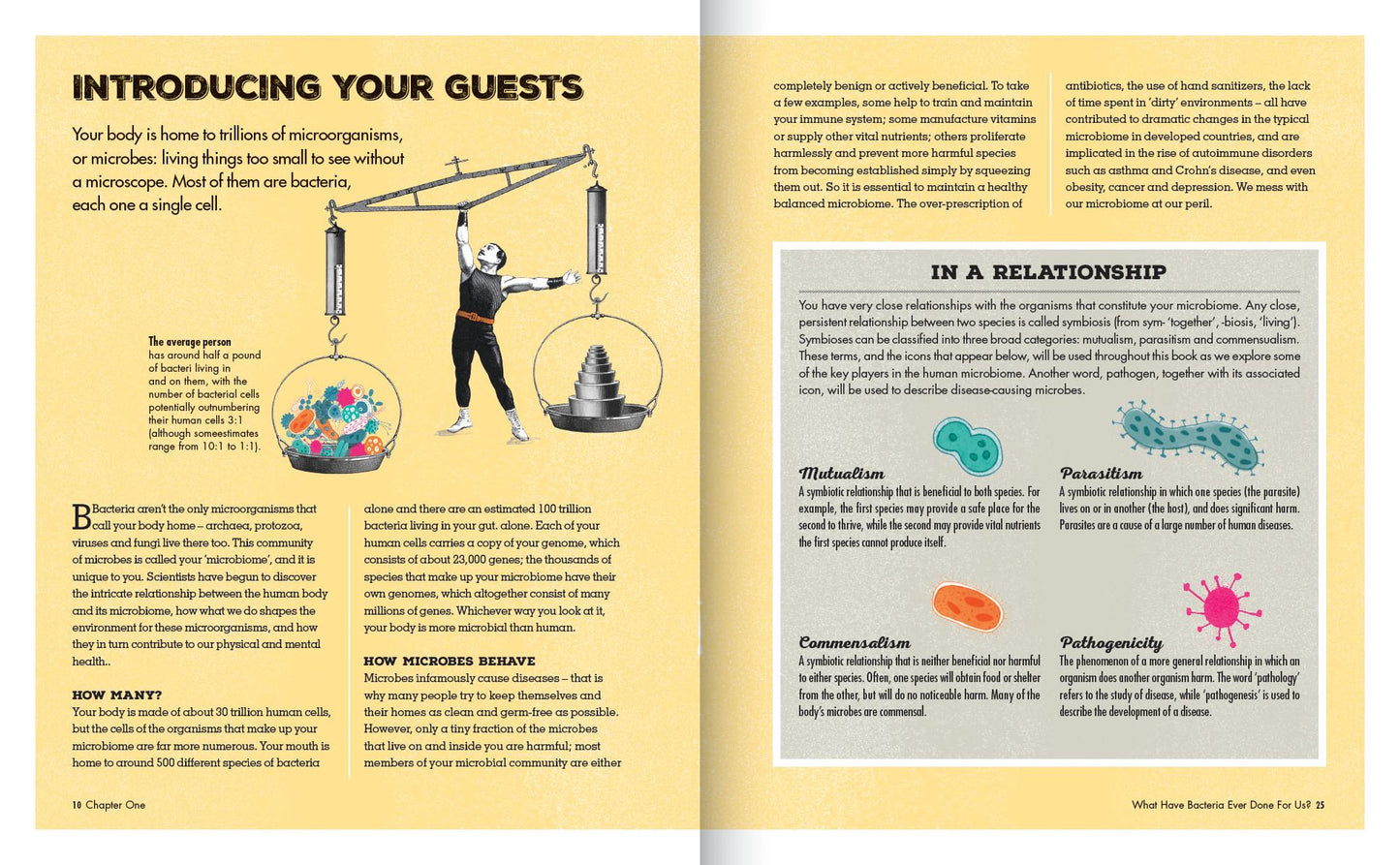 Meet Your Bacteria: The Hidden Communities That Live in Your Gut and Other Organs