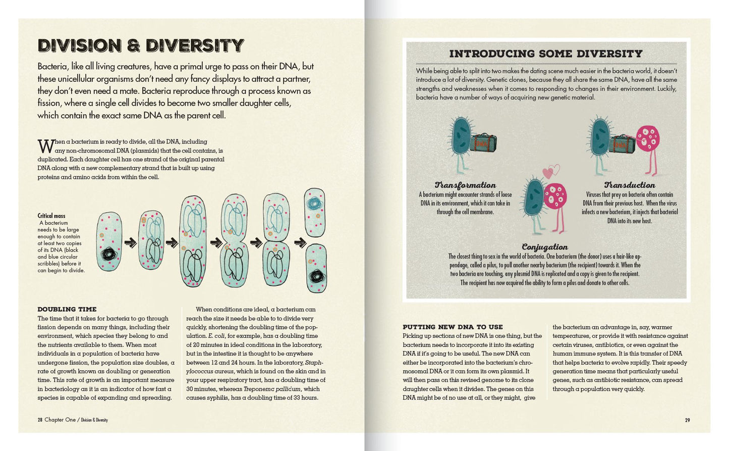 Meet Your Bacteria: The Hidden Communities That Live in Your Gut and Other Organs
