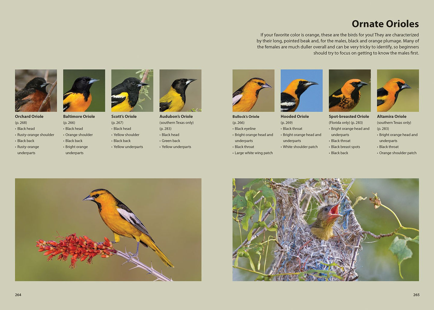 Feed the Birds: Attract and Identify 196 Common North American Birds
