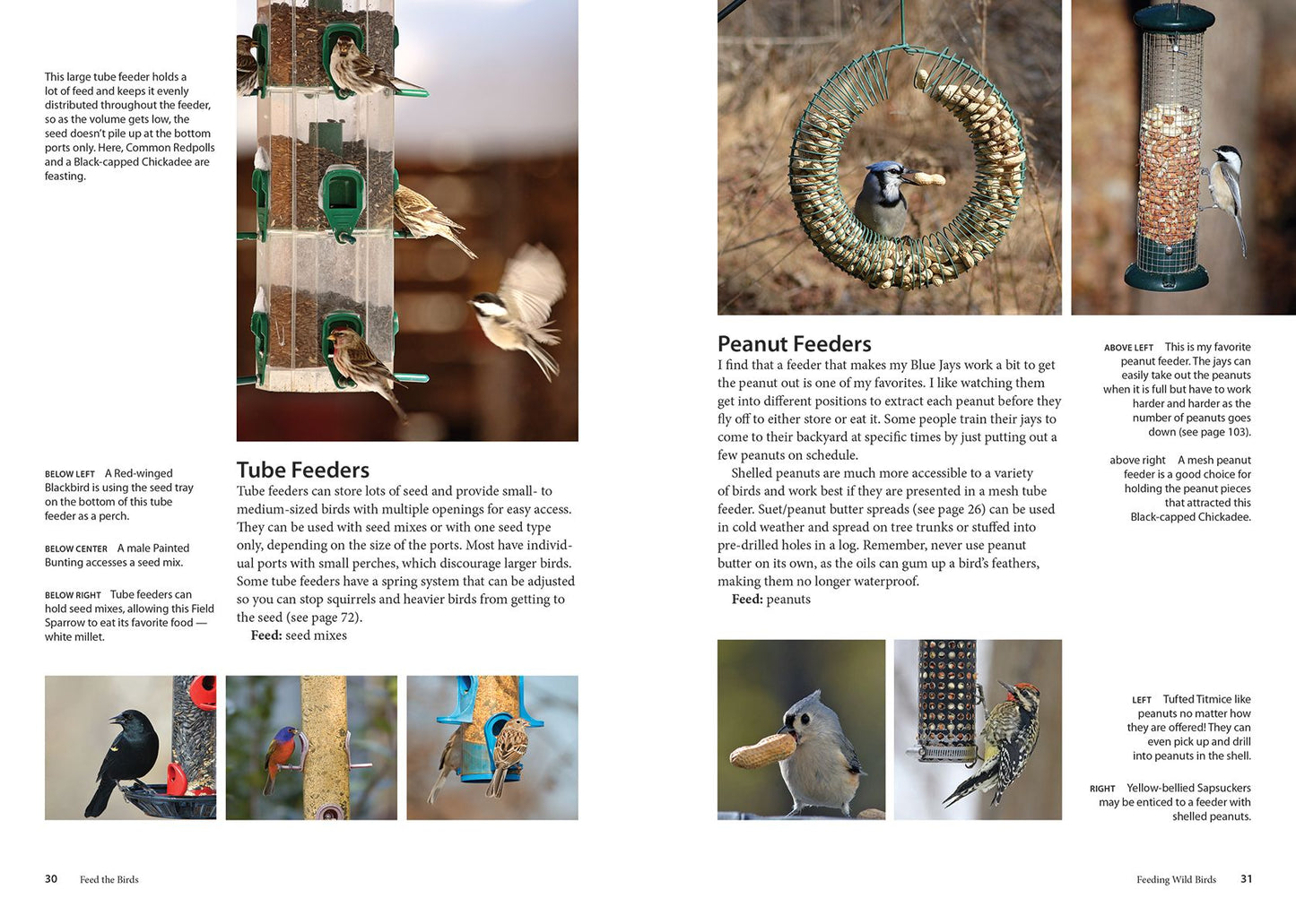 Feed the Birds: Attract and Identify 196 Common North American Birds