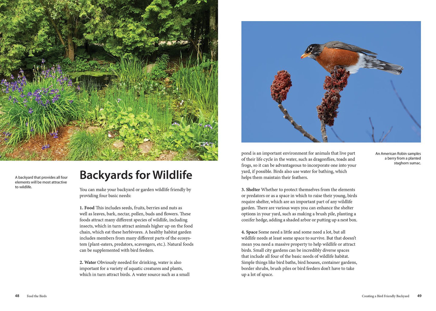 Feed the Birds: Attract and Identify 196 Common North American Birds