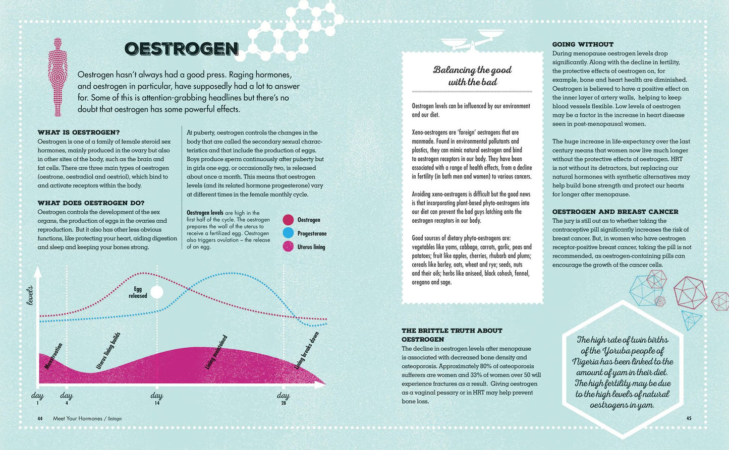 Meet Your Hormones: Discover the Hidden World of the Chemical Messengers in Your Body
