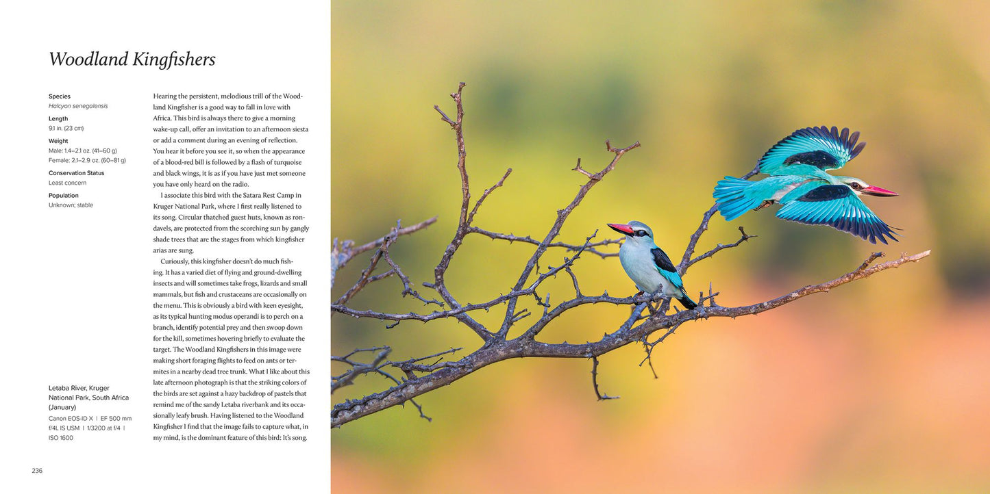 100 Flying Birds: Photographing the Mechanics of Flight