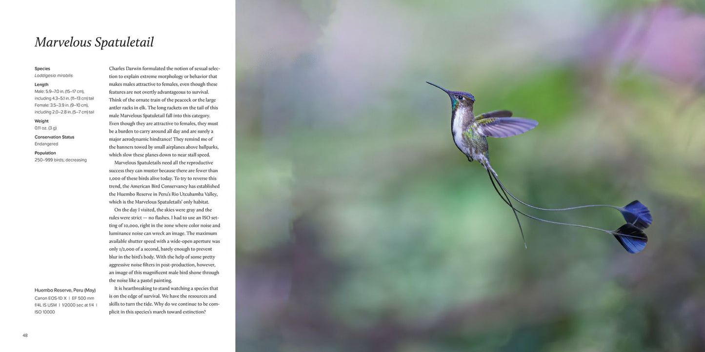 100 Flying Birds: Photographing the Mechanics of Flight
