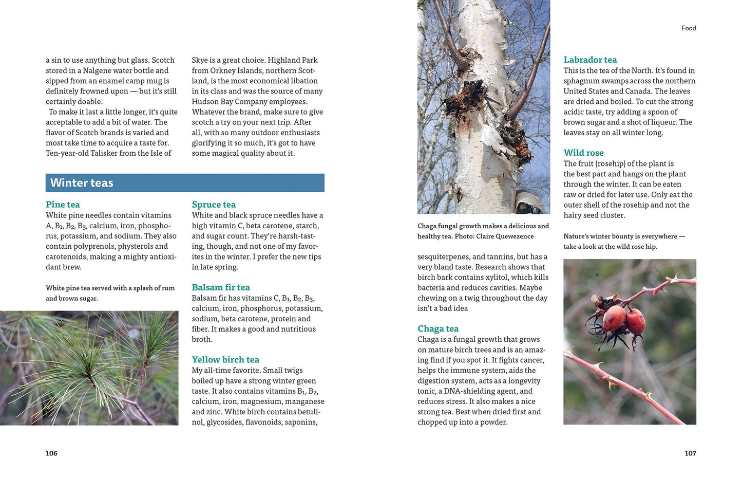Complete Guide to Winter Camping