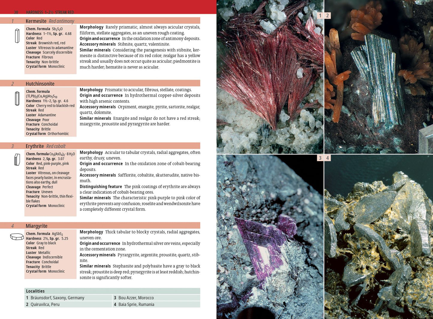 Minerals Encyclopedia: 700 Minerals, Gems and Rocks