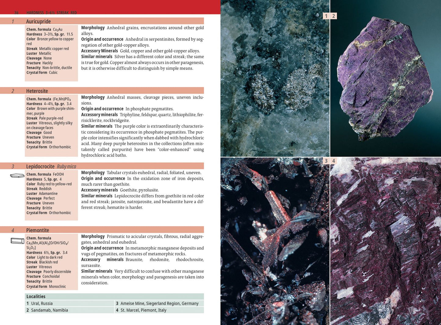Minerals Encyclopedia: 700 Minerals, Gems and Rocks