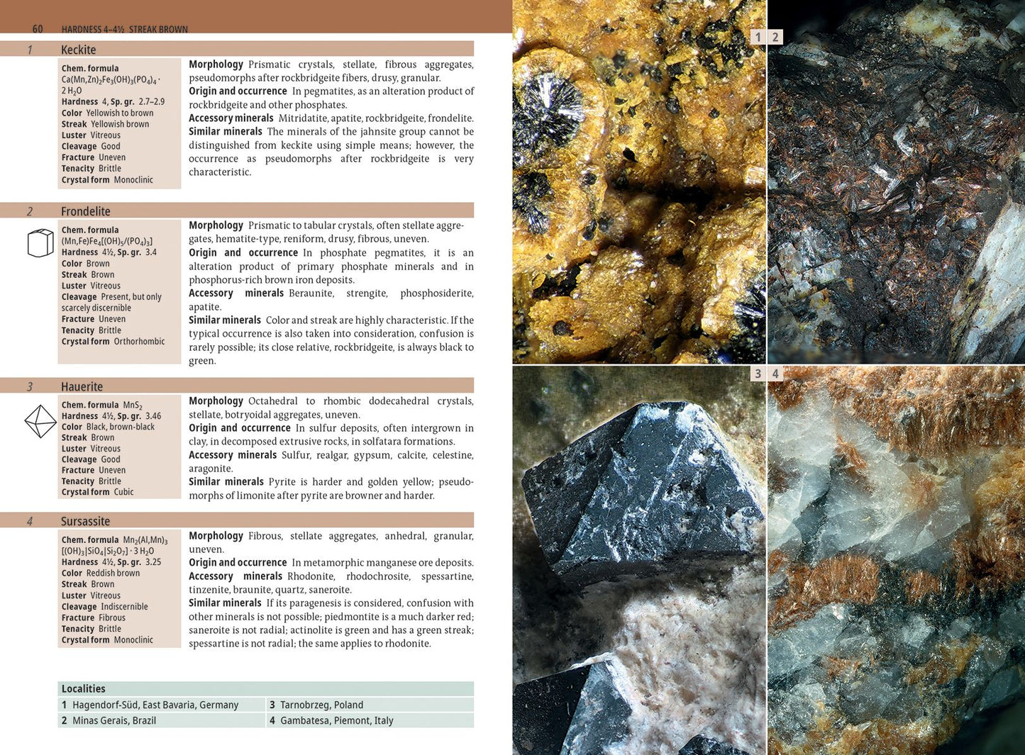 Minerals Encyclopedia: 700 Minerals, Gems and Rocks