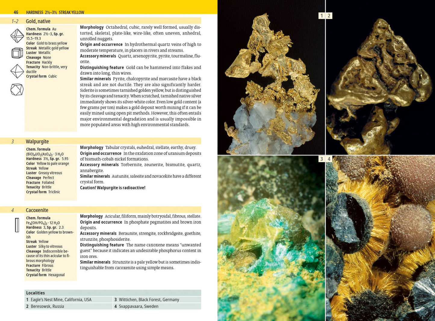 Minerals Encyclopedia: 700 Minerals, Gems and Rocks