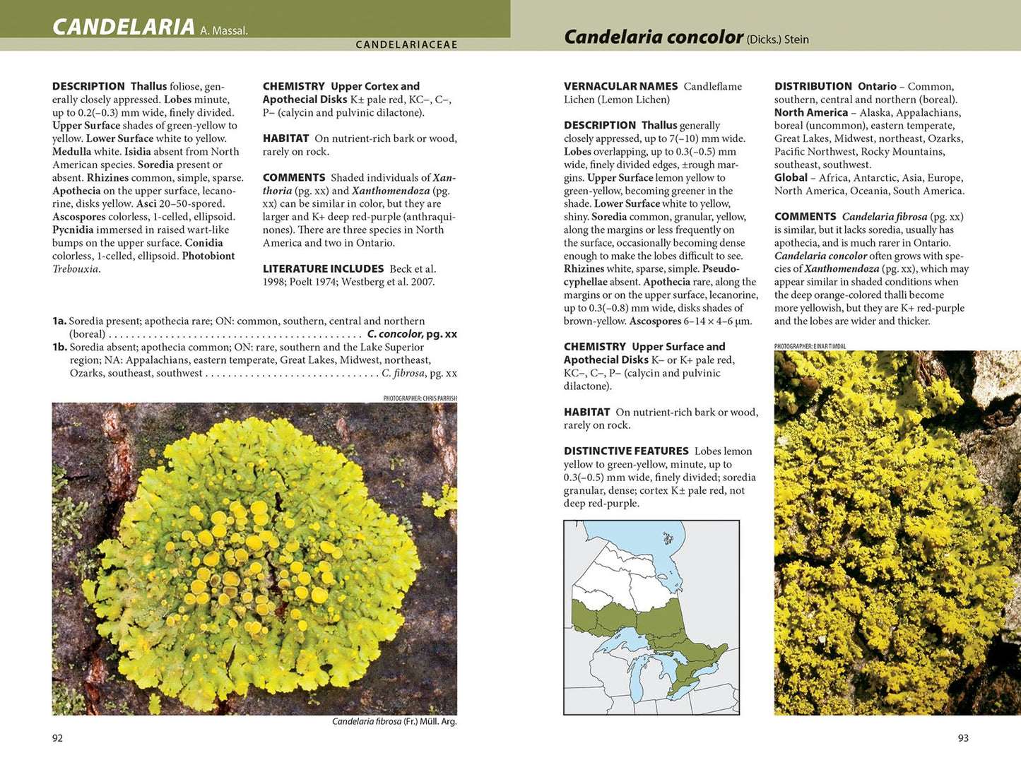 Lichens: The Macrolichens of Ontario and the Great Lakes Region of the United States