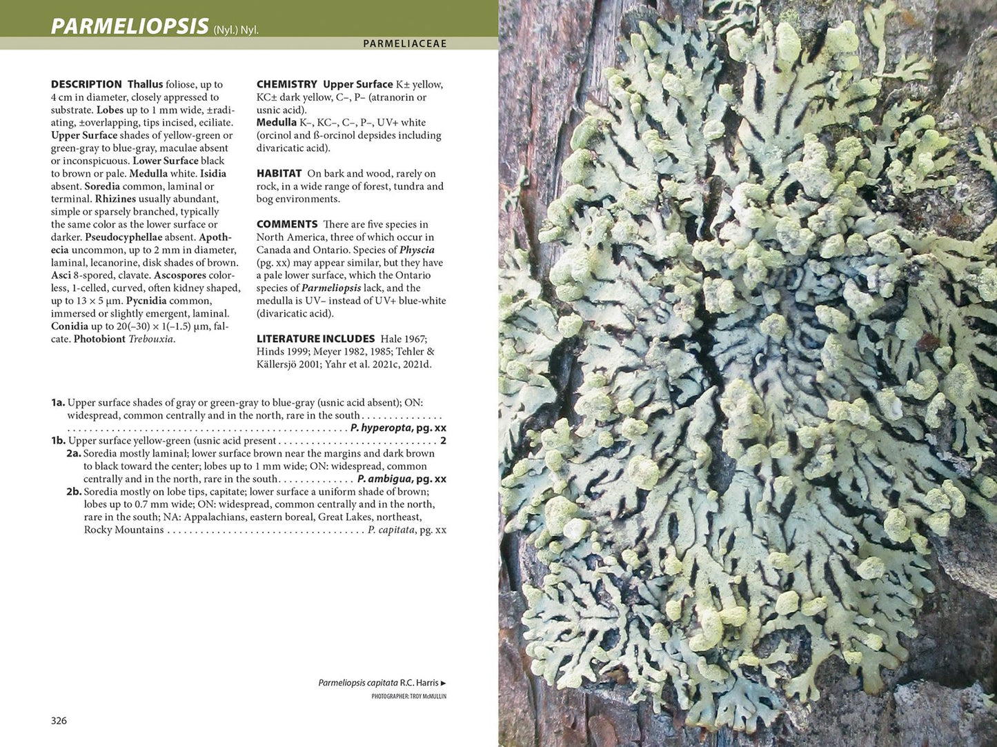 Lichens: The Macrolichens of Ontario and the Great Lakes Region of the United States