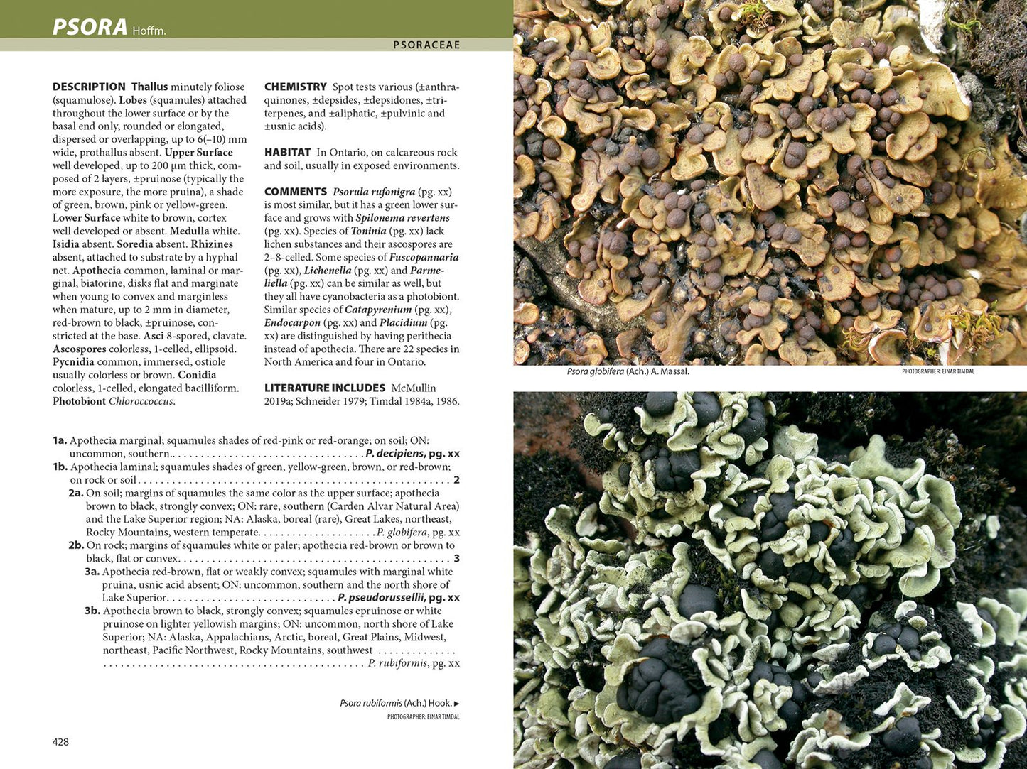 Lichens: The Macrolichens of Ontario and the Great Lakes Region of the United States