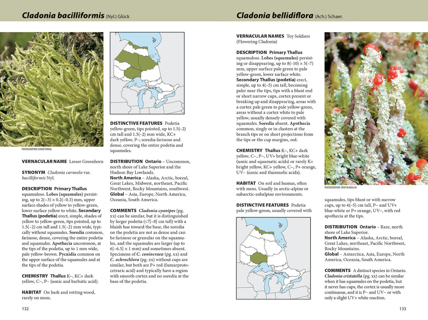 Lichens: The Macrolichens of Ontario and the Great Lakes Region of the United States