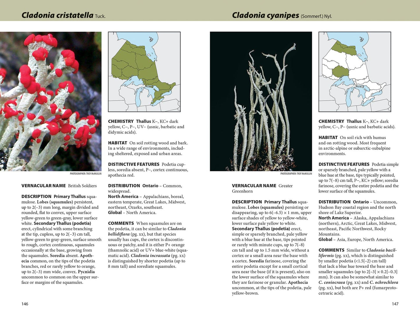Lichens: The Macrolichens of Ontario and the Great Lakes Region of the United States