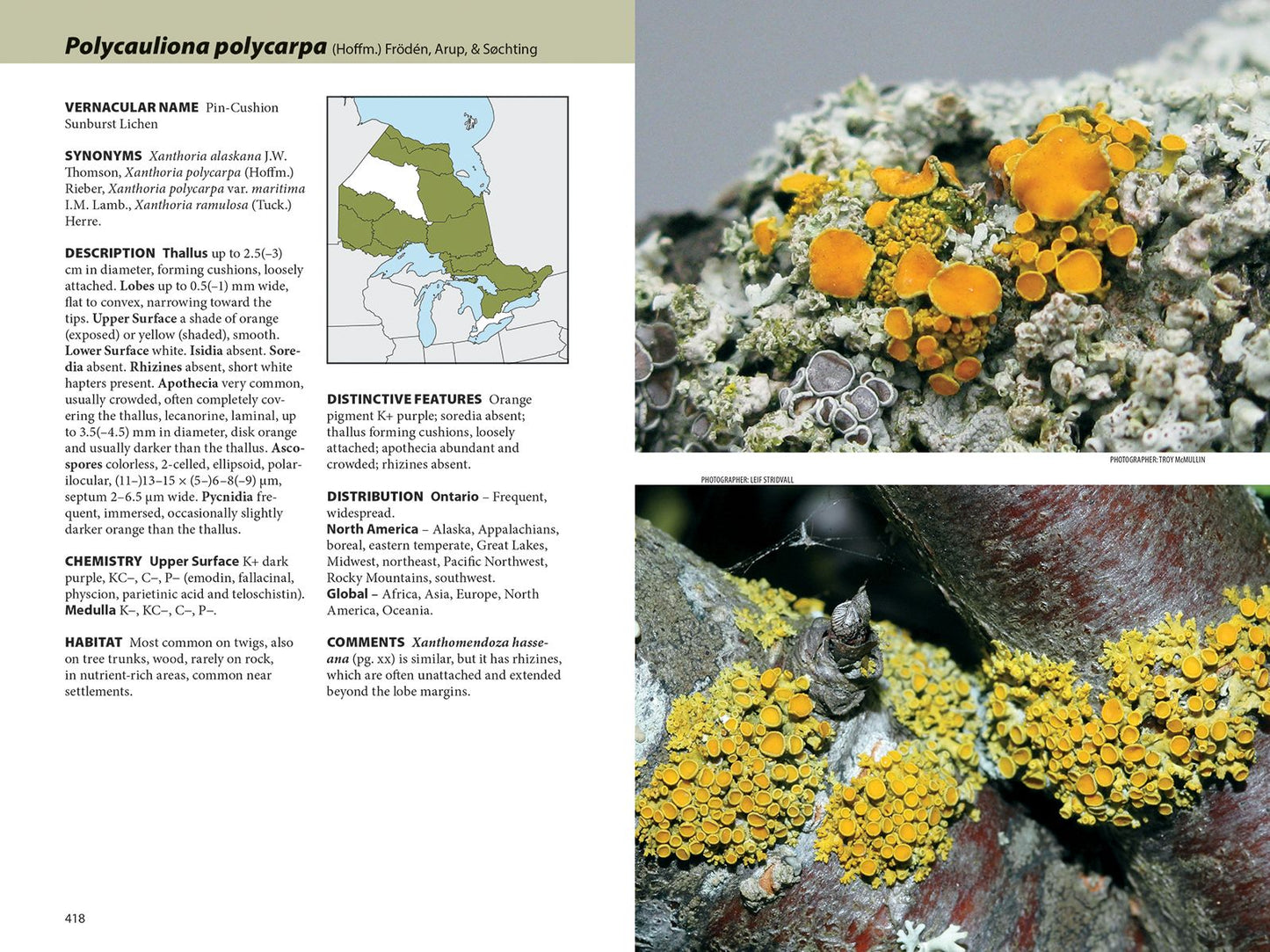 Lichens: The Macrolichens of Ontario and the Great Lakes Region of the United States