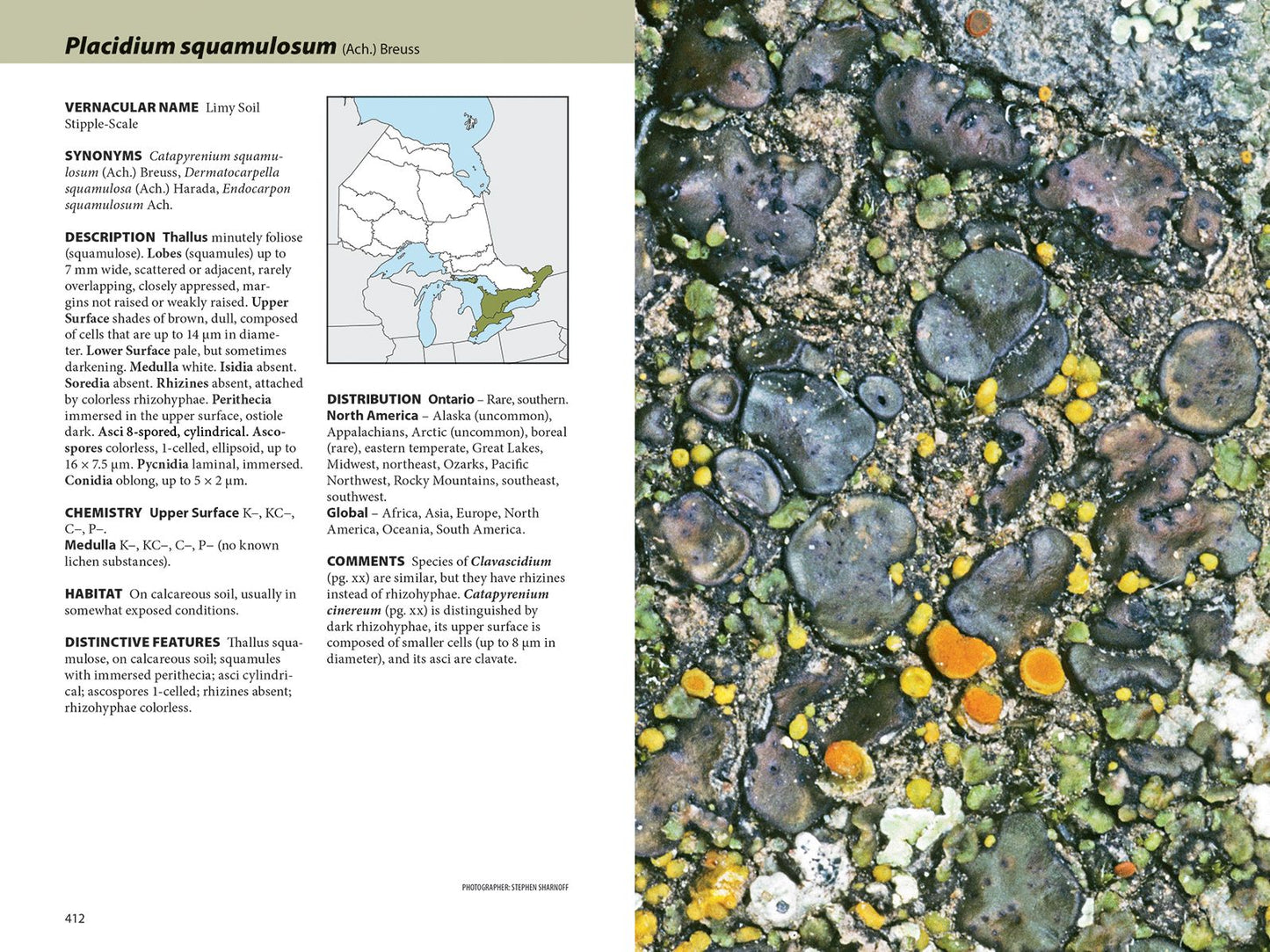 Lichens: The Macrolichens of Ontario and the Great Lakes Region of the United States
