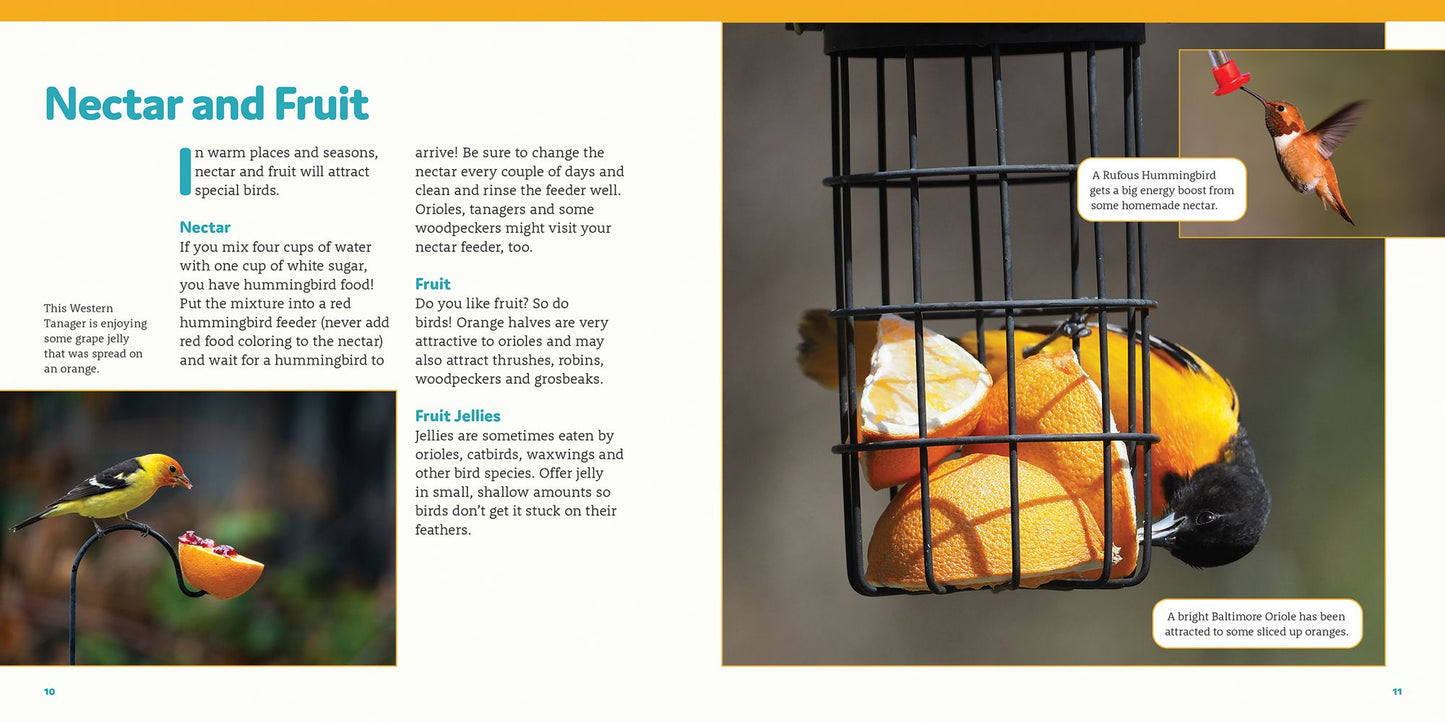 How to Feed Backyard Birds: A Step-By-Step Guide for Kids