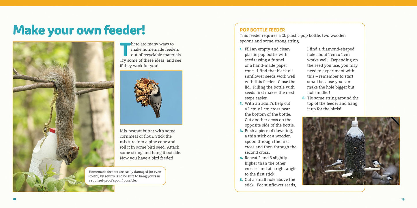 How to Feed Backyard Birds: A Step-By-Step Guide for Kids