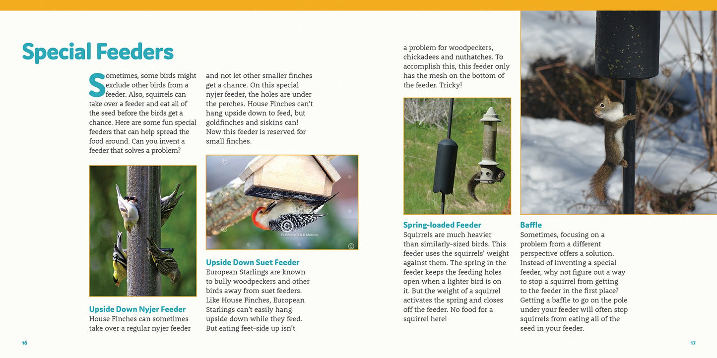 How to Feed Backyard Birds: A Step-By-Step Guide for Kids
