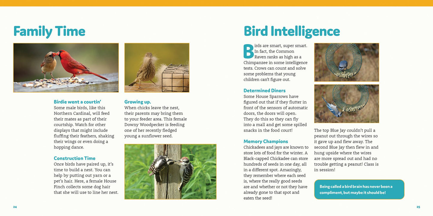 How to Feed Backyard Birds: A Step-By-Step Guide for Kids