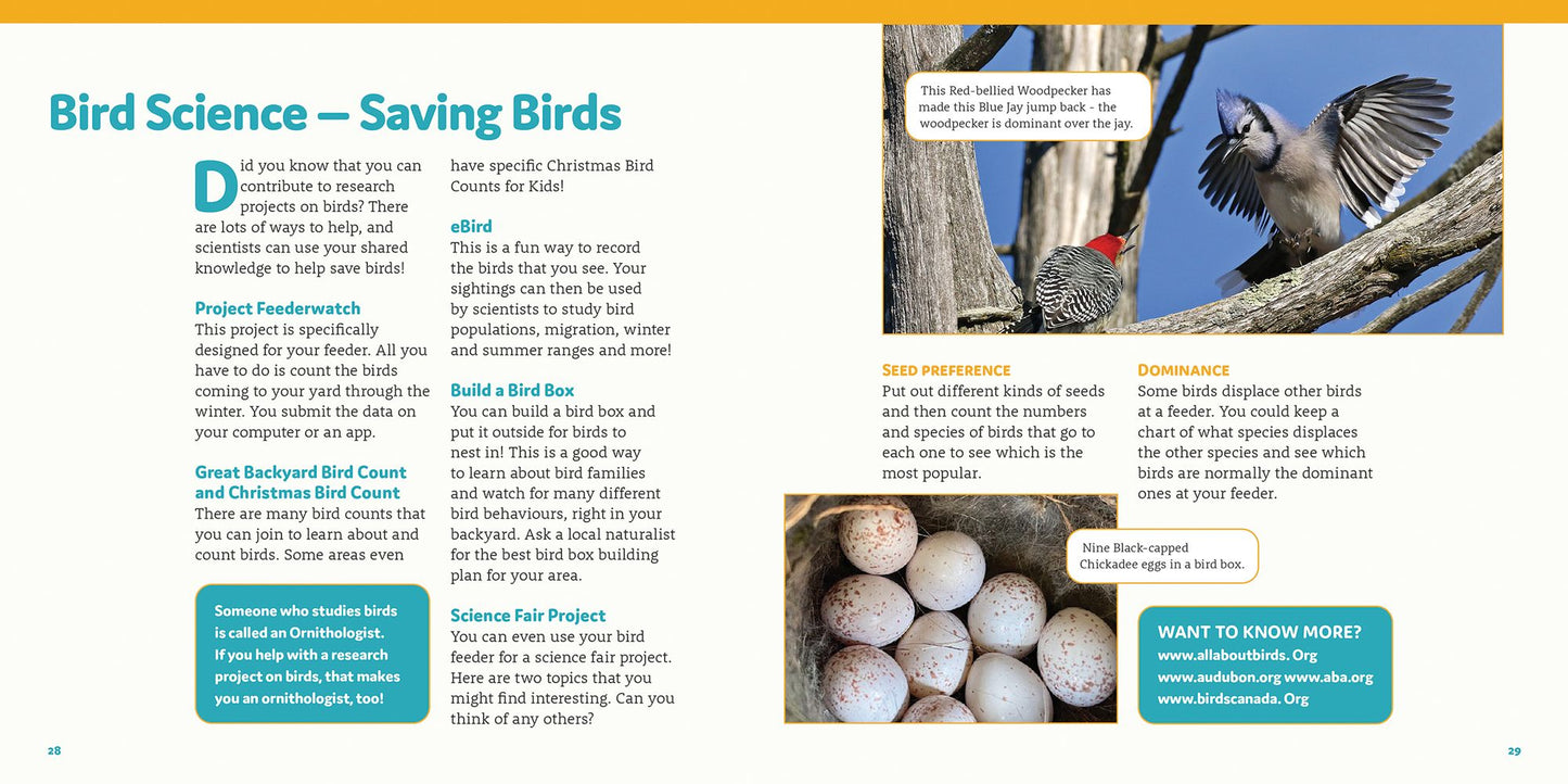 How to Feed Backyard Birds: A Step-By-Step Guide for Kids