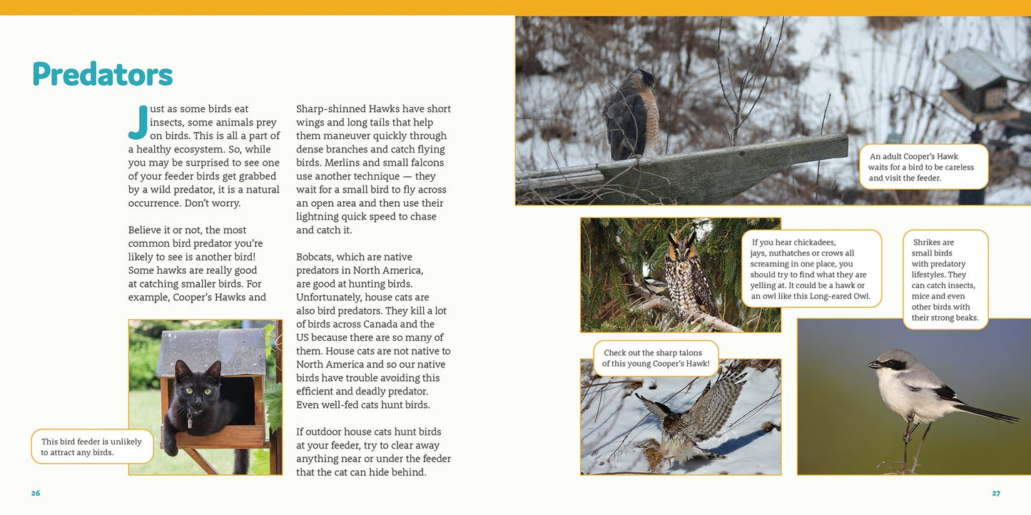 How to Feed Backyard Birds: A Step-By-Step Guide for Kids