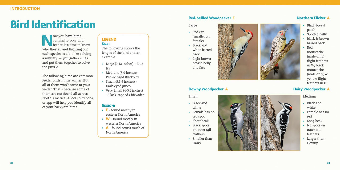 How to Feed Backyard Birds: A Step-By-Step Guide for Kids
