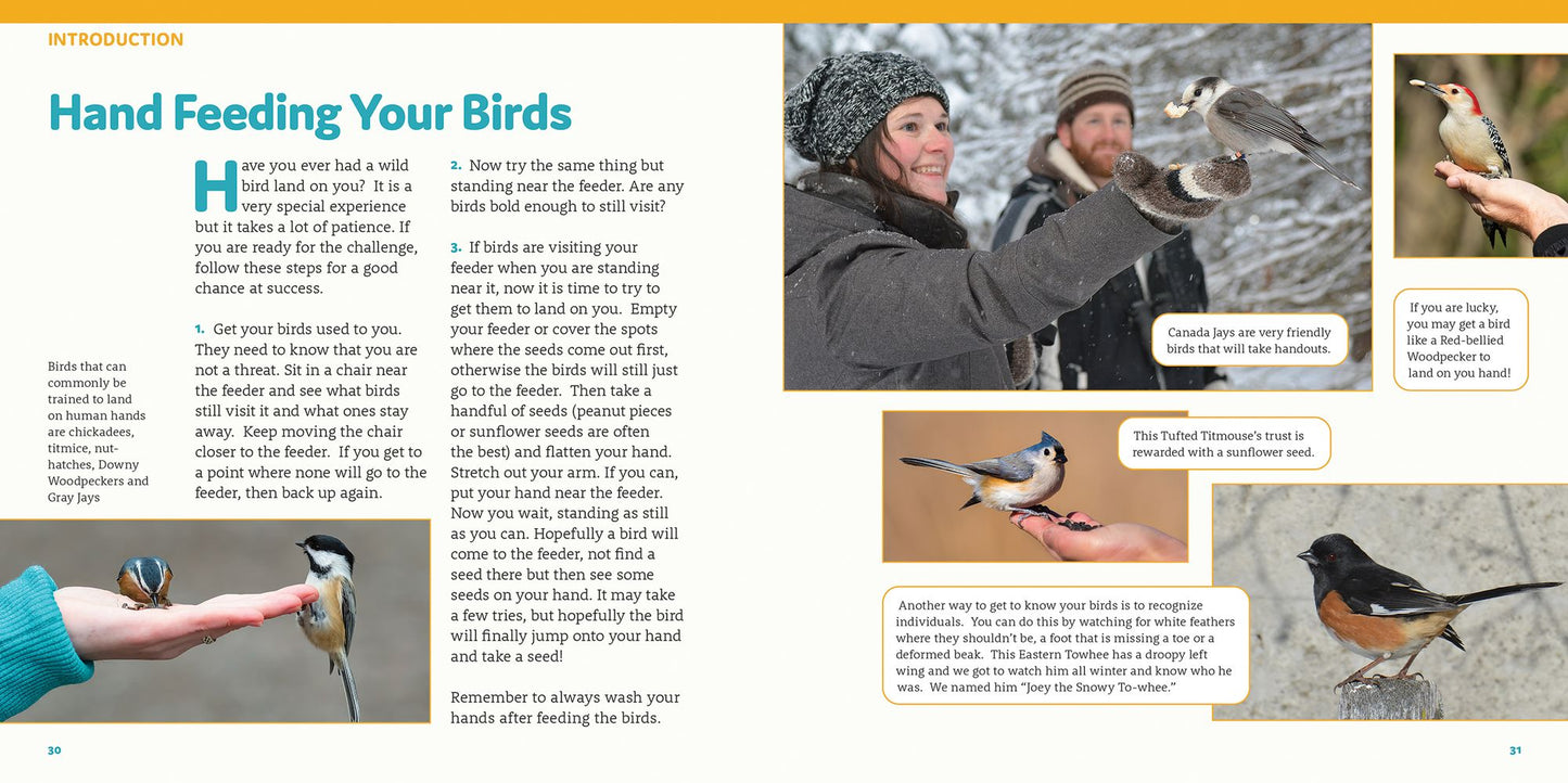 How to Feed Backyard Birds: A Step-By-Step Guide for Kids