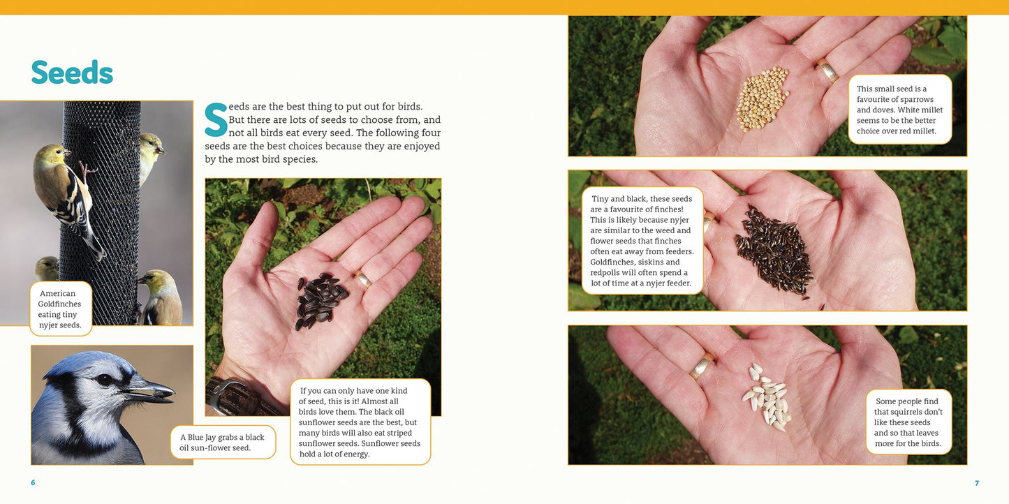 How to Feed Backyard Birds: A Step-By-Step Guide for Kids