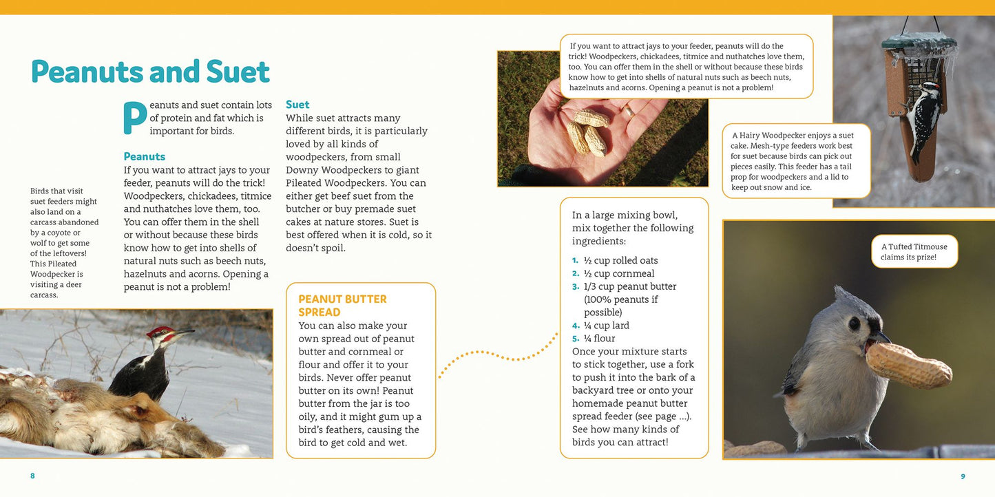 How to Feed Backyard Birds: A Step-By-Step Guide for Kids