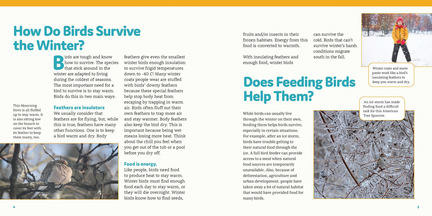 How to Feed Backyard Birds: A Step-By-Step Guide for Kids