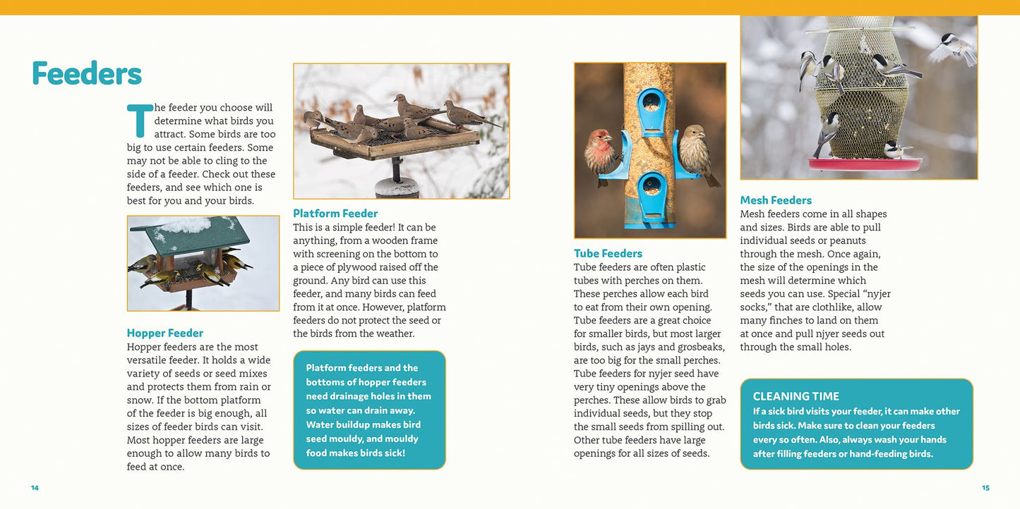 How to Feed Backyard Birds: A Step-By-Step Guide for Kids