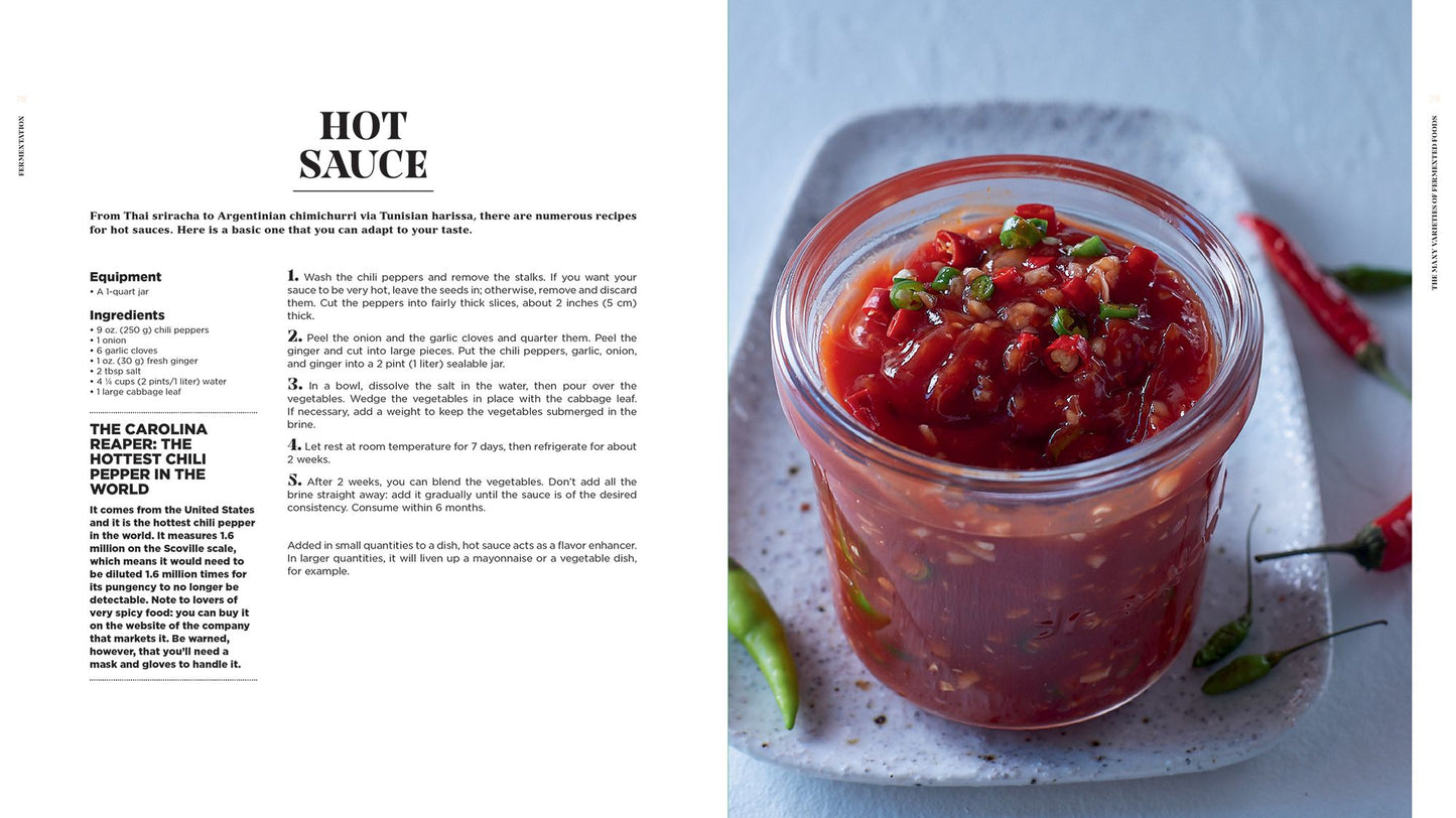 Fermentation: History, Uses and Recipes