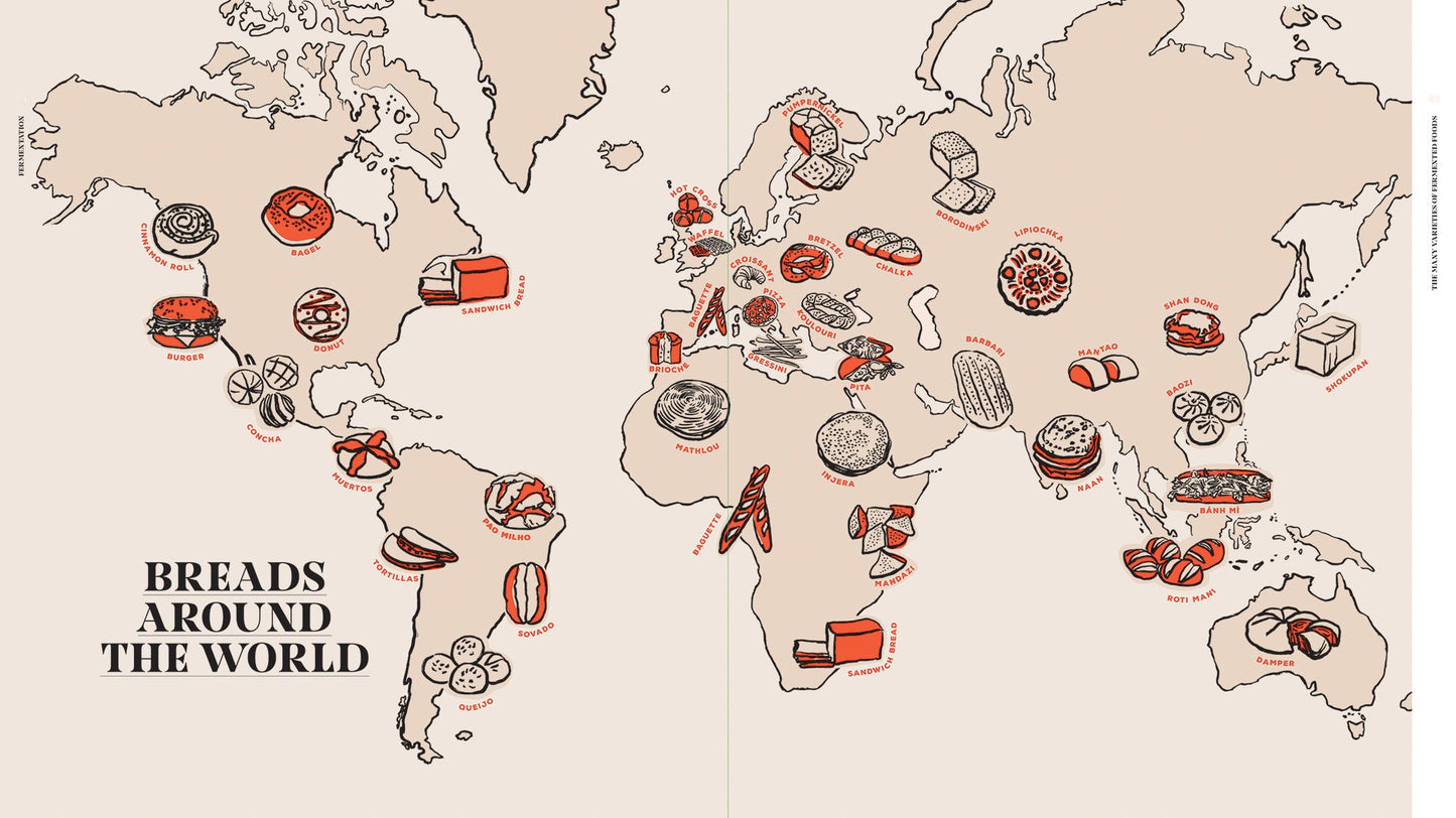 Fermentation: History, Uses and Recipes