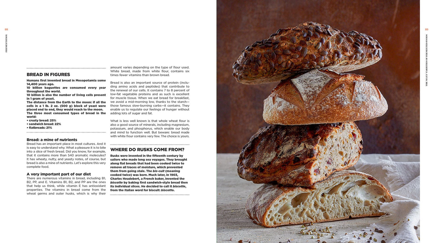 Fermentation: History, Uses and Recipes
