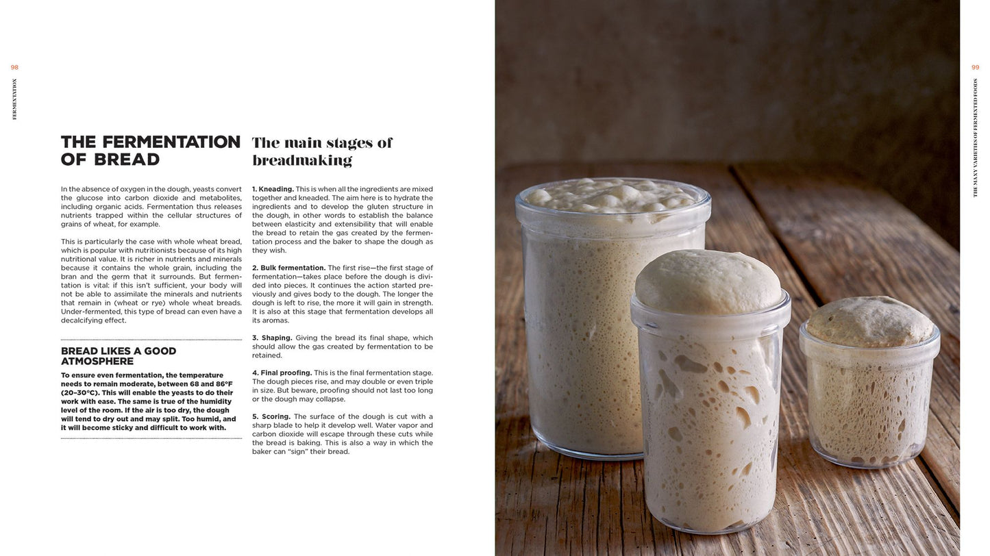 Fermentation: History, Uses and Recipes