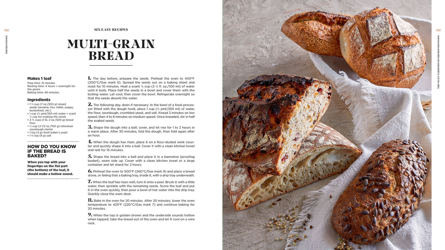 Fermentation: History, Uses and Recipes