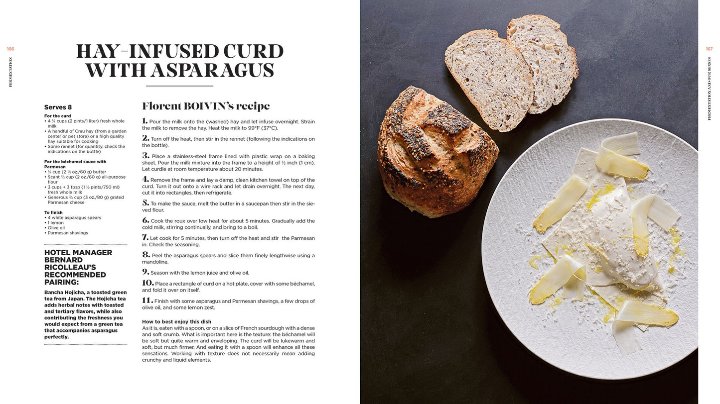 Fermentation: History, Uses and Recipes