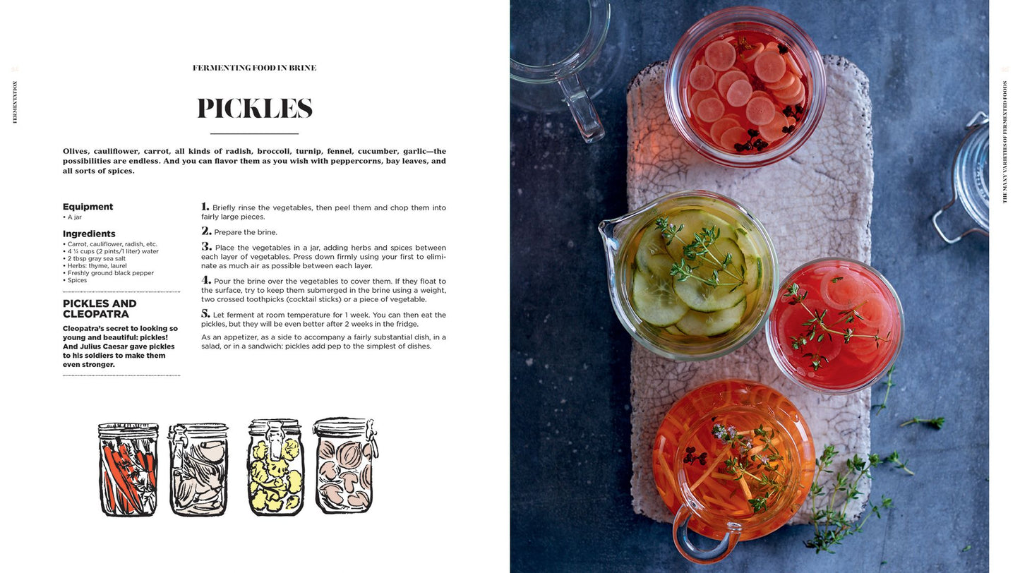 Fermentation: History, Uses and Recipes