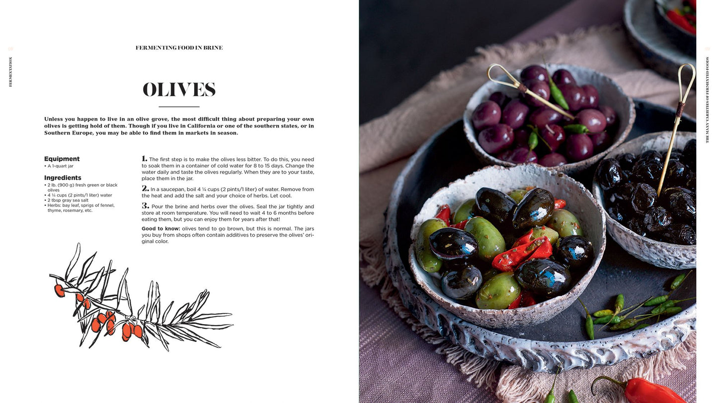 Fermentation: History, Uses and Recipes