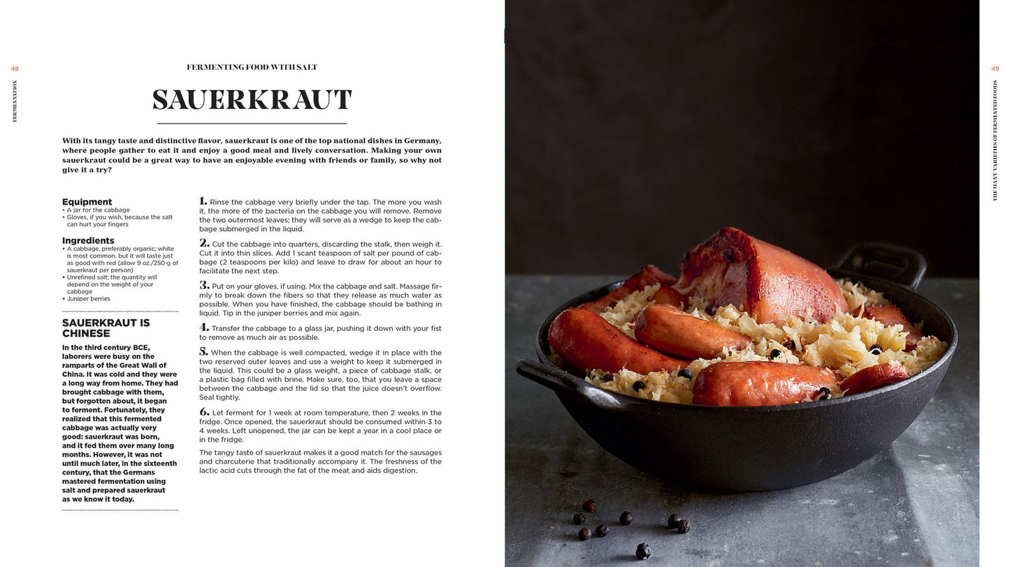 Fermentation: History, Uses and Recipes