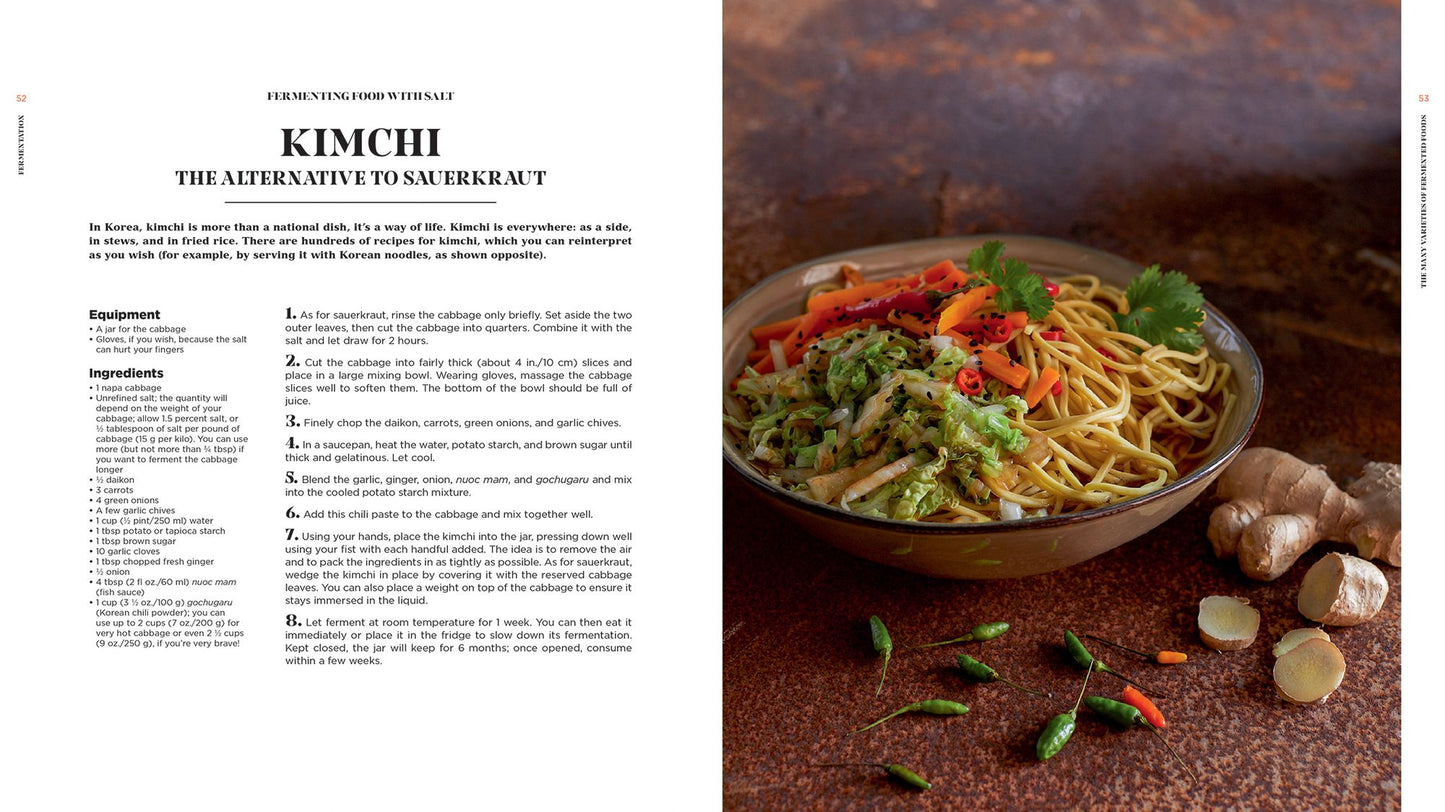 Fermentation: History, Uses and Recipes