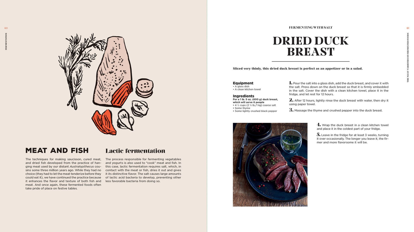 Fermentation: History, Uses and Recipes