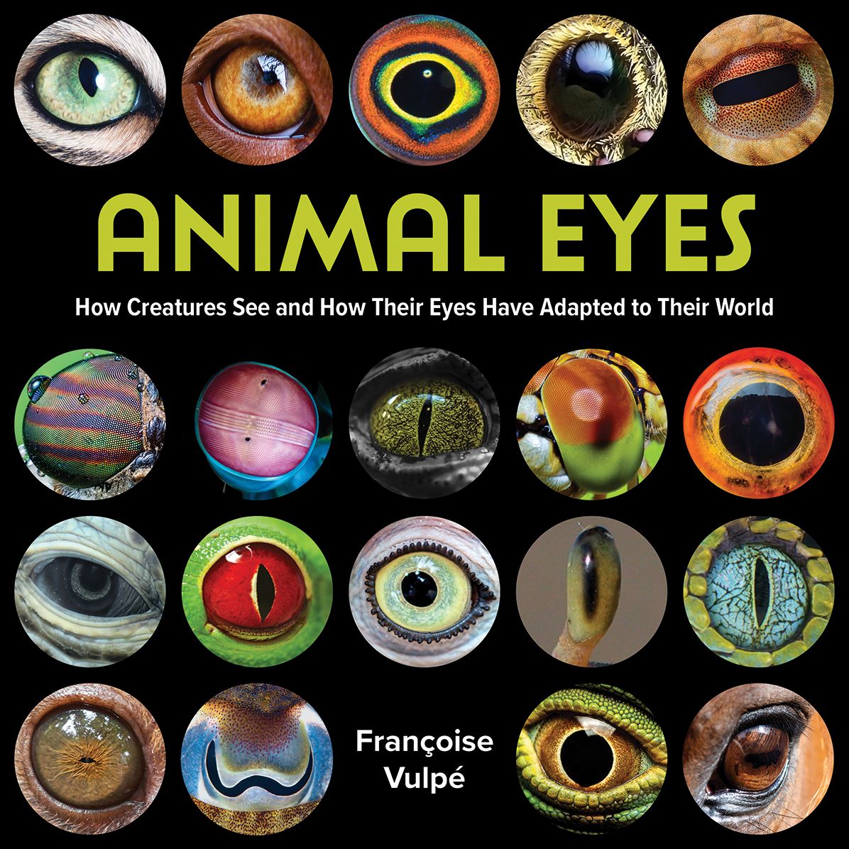 Animal Eyes: How Creatures See and How Their Eyes Have Adapted to Their World