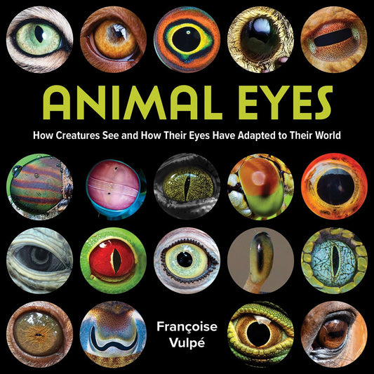 Animal Eyes: How Creatures See and How Their Eyes Have Adapted to Their World