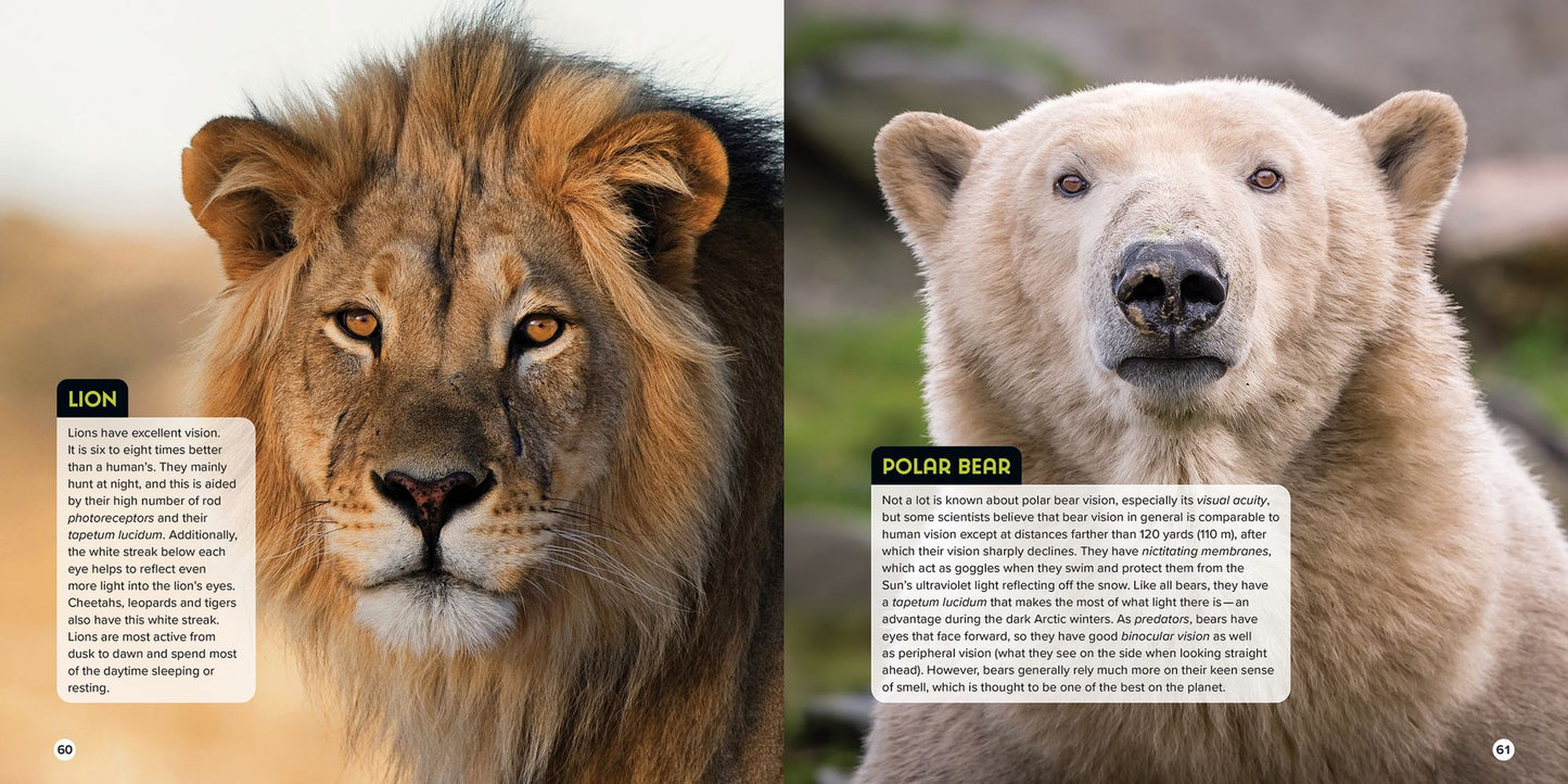 Animal Eyes: How Creatures See and How Their Eyes Have Adapted to Their World