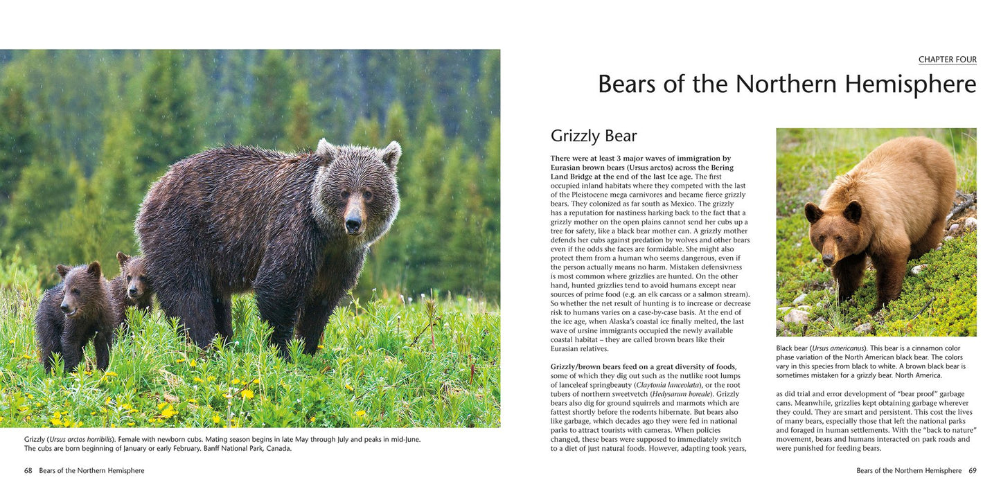 Wildlife of the North: Animals of the High Latitudes of North America and Europe