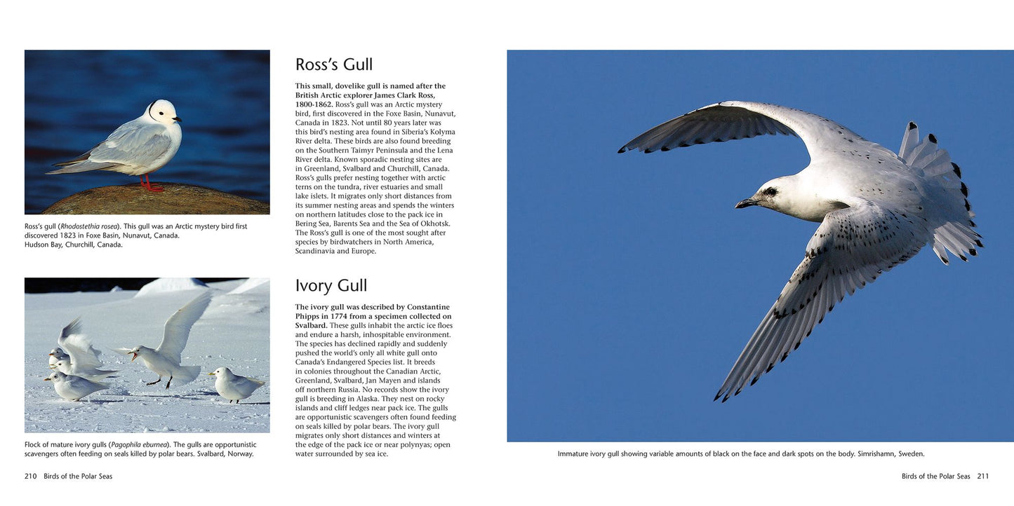 Wildlife of the North: Animals of the High Latitudes of North America and Europe
